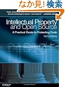 Intellectual Property and Open Source