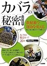 カバラの秘密―数秘術で運命を変える 数と生命の樹がすべての鍵だった  