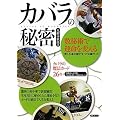 �J�o���̔閧�\����p�ŉ^����ς��� ���Ɛ����̎������ׂĂ̌�������