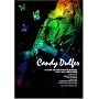 CANDY DULFER MASTER BOOK �L�����f�B�E�_���t�@�[����CD�t�y���W �A�h���u���S�̕�