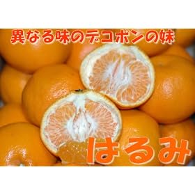 �y���������E�Y�n�����z��_��E�L�@�엿�͔| ���b�N�X�E�h���ܕs�g�p ���Q���Y �͂�� ��10kg��ʃT�C�Y ������p�킯����i(�K�i�O�i)