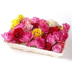�x�����[�[�X �o�����C�M�t�g�i50�ֈȏ�j�y�����C�ɕ����ׂ鐶�Ԃ̃o���̉Ԏ�̋l�ߍ��킹�E�a�����E��j�E�L�O���E������p�E�Y�����[�Y�̃M�t�g�Z�b�g�z