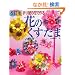 �܂莆�̉Ԃō��Ԃ̂������� ������ (���f�B�u�e�B�b�N�V���[�Y no. 3095)