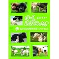 �ف[��A�������! meets ���c�S���E���������̂Ȃ��܂��� [DVD]