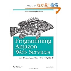 Programming Amazon Web Services: S3, EC2, SQS, FPS, and SimpleDB