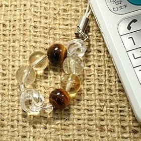 �y�V�R�Ή�����X�g���b�v�z ���^ �w�͂̕������@�����𑝂₵���� S-SAP-0501