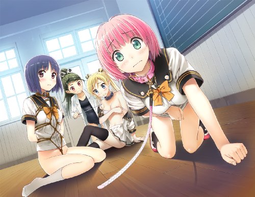 【6月発売】らぶらぼ ~調教なんて興味のなかった俺と彼女の放課後SMラボラトリー~