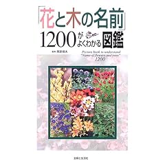 �u�ԂƖ؂̖��O�v1200���悭�킩��}��