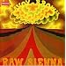 Raw Sienna