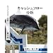 �L���b�V���t���[���� ���얾 [DVD]