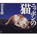 �S�ɑ������ƈ��炬��