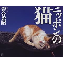 �j�b�|���̔L
