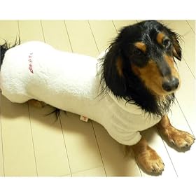�o�X���[�u(���^���p�A�T�C�Y:NLL�A�J���[:3/�A�J) 61-10502-N
