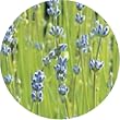 �����̖� �t���[�����E�H�[�^�[ ���x���_�[ 200ml