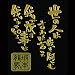 �ʎ��G�{�� �������o���쎪�G ���n����B/GD �S�[���h KOTO-02GD