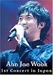 �A���E�W�F�E�N 1st Concert in Japan �������� [DVD]