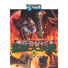 �f�B�X�J�o���[�`�����l�� �ҏb�匈�� Round2 �W���K�[vs�A�i�R���_ [DVD]