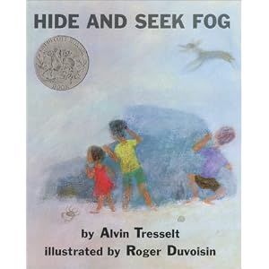 Hide and Seek Fog (Mulberry Books)
