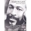 �}�[���B���E�Q�C�̐^�� [DVD]