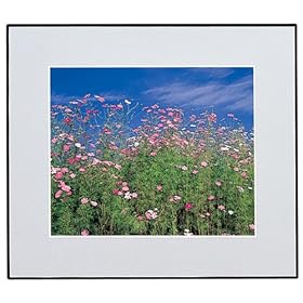 【クリックで詳細表示】フジカラー ギャラリーパネル グレー