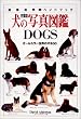 ���̎ʐ^�}��DOGS�k�����Łl�\�I�[���J���[���E�̌�300 (�n�����R�n���h�u�b�N)