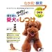 DVD�ł悭�킩��!���䑏�̈����̂��� (���pBEST BOOKS)