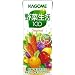 ��ؐ���100 �I���W�i�� 200ml�~24�{