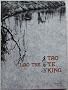 Tao te king
