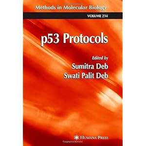 【クリックで詳細表示】p53 Protocols (Methods in Molecular Biology) [ペーパーバック]