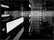 Visionaire 34 Paris Dior Homme