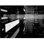 Visionaire 34 Paris Dior Homme (Visionaire, No 34)