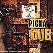 Pick a Dub