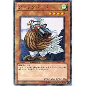 �V�Y���J�[�h �y �\�j�b�N�E�o�[�h �z DT10-JP002-N �s�f���G���^�[�~�i��-�C�����F���Y�̐N���t