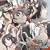 �u�d�t��v�\���O�R���N�V����(��������)(DVD�t)