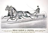  The great pole mares, Belle Hamlin & Justina, trotting to skeleton wagon: at Independence, Iowa, Oct. 24, 1890, driven by their owner, C.J. Hamlin, esq., making the fastest team time on record, 2.13 1/4, which was reduced Oct. 27, driven by their trainer, (Reprint 24