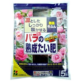 �Ԃ����� �������L���ӂ�o���͔̑� 5l