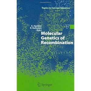 【クリックでお店のこの商品のページへ】Molecular Genetics of Recombination (Topics in Current Genetics) [ハードカバー]