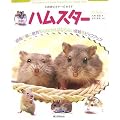 �������r�M�i�[�Y�K�C�h �n���X�^�[