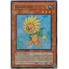 �V�Y�� �p��� ABPF-ENSE1 Dandylion �_���f�B���C�I�� Limited Edition (�X�[�p�[���A)