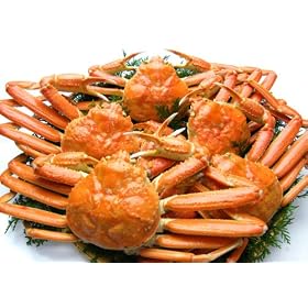 �{�C�����킢�I�p3kg�O��