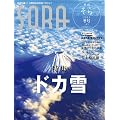 �G��SORA2011�N�~��