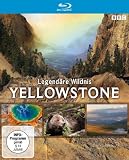 [DVD] Yellowstone - Legendäre Wildnis [Blu-ray]