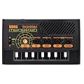 KORG �R���O �f�B���C���� ��̕��T�C�Y �V���Z�T�C�U�[ monotron DELAY