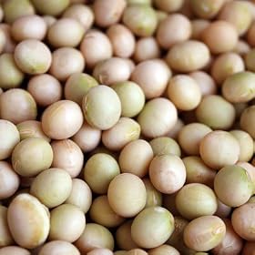 �k�C���\���Y �哤�u�味�̕��v1kg