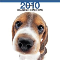Beagle 2010 Calendar