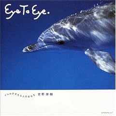 Eye to Eye.�C���J�̂�����(�ʐ^�W)