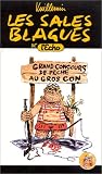  Vuillemin : Les Sales blagues de l'Echo