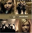 Into the Rush (Bonus Dvd) (Dlx)