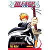 Bleach 1