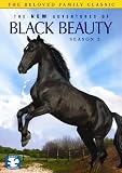[DVD] New Adventures of Black Beauty: Season 2 (3pc) [DVD] [Import]